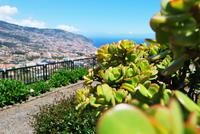 Funchal
