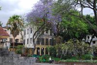 Funchal