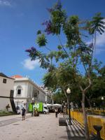 Funchal