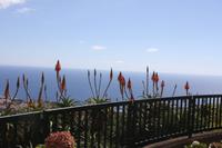 Funchal_8