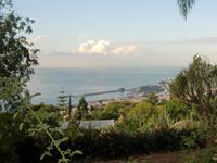 Hafen Funchal