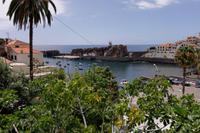 Hafen von Camara de Lobos