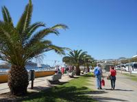 Hafen von Funchal