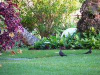 Hotelgarten
