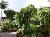 Hotelgarten