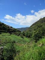 IMG_0099
