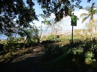 IMG_0231.JPG