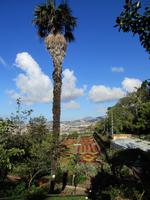 IMG_0231.JPG