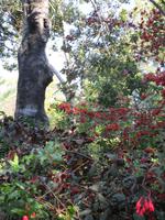 IMG_0231.JPG