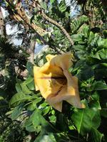 IMG_0231.JPG
