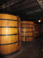 IMG_0231.JPG