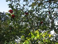 IMG_0231.JPG
