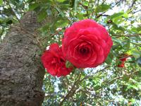 IMG_0231.JPG
