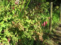 IMG_0231.JPG