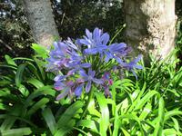 IMG_0231.JPG