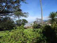 IMG_0231.JPG