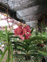 IMG_0231.JPG