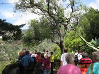 IMG_2978 Zu Besuch im Botanischen Garten von Funchal