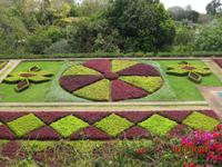 IMG_2989 Zu Besuch im Botanischen Garten von Funchal