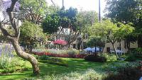 Idylle mitten in Funchal