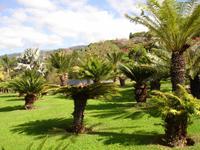 Im Botanischen Garten von Funchal