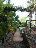 Im Botanischen Garten von Madeira