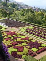 Im Botanischen Garten von Madeira