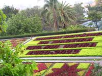 Im Botanischen Garten