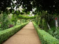 Im Garten der Blandys