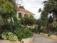 Im Kräutergarten