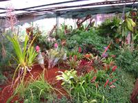 Im Kräutergarten