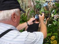 Im Orchideen-Garten