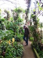 Im Orchideengarten
