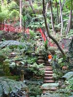 Im Tropischen Garten von Monte