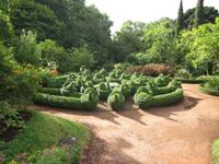 In Blandys Garden