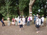 In Blandys Garden