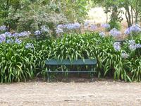 In Blandys Garden