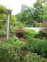 In Blandys Garden
