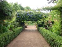 In Blandys Garden