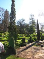 In den Palheiro Gardens