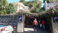 Jardim Orchidea