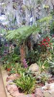 Jardim Orchidea