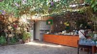 Jardim Orchidea