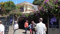 Jardim Orchidea