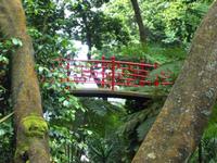 Jardim Tropical - Monte Palace