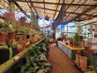 Kirche der Heiligen Mutter von Monte