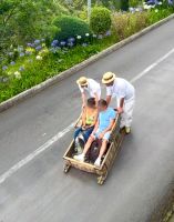 Korbschlittenfahrt