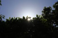 Kräutergarten_12