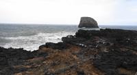 Lavaformationen in Porto da Cruz I