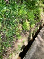 Levada Furado